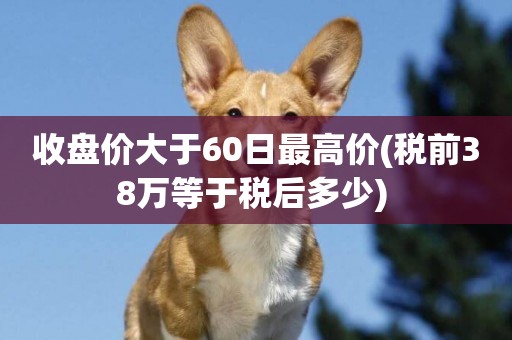 收盤價大于60日最高價(稅前38萬等于稅后多少) 