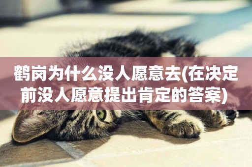鶴崗為什么沒人愿意去(在決定前沒人愿意提出肯定的答案) 