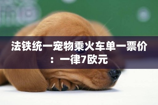 法鐵統一寵物乘火車單一票價：一律7歐元 