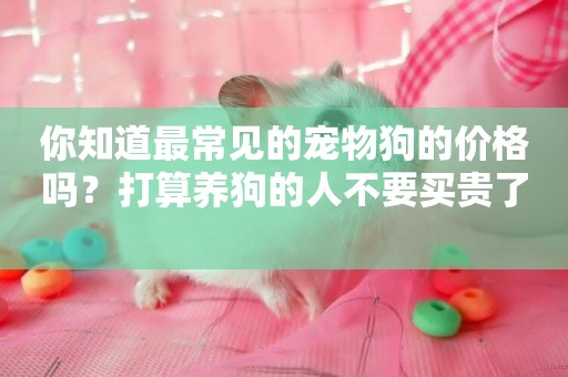 你知道最常見的寵物狗的價格嗎？打算養狗的人不要買貴了 