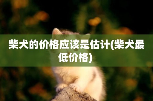 柴犬的價格應該是估計(柴犬最低價格) 