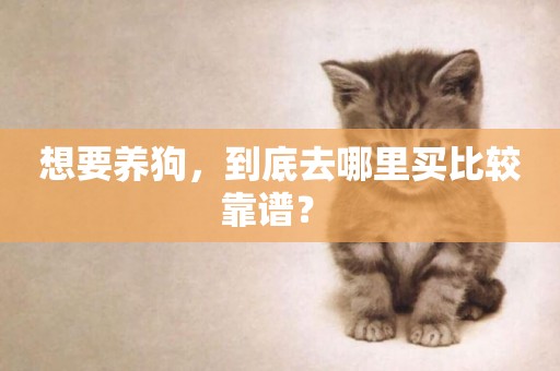 想要養狗，到底去哪里買比較靠譜？ 