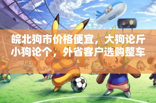 皖北狗市價格便宜，大狗論斤小狗論個，外省客戶選購整車 