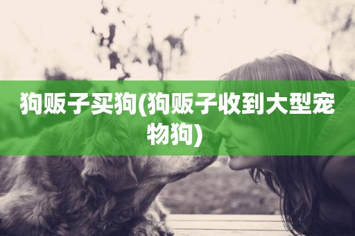 狗販子買狗(狗販子收到大型寵物狗) 