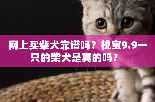 網上買柴犬靠譜嗎？桃寶9.9一只的柴犬是真的嗎？ 