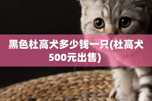 黑色杜高犬多少錢一只(杜高犬500元出售) 