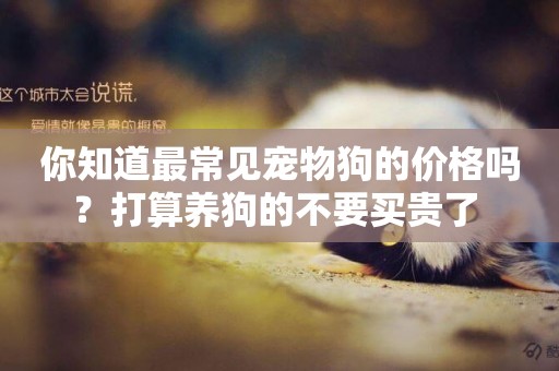 你知道最常見寵物狗的價格嗎？打算養狗的不要買貴了 