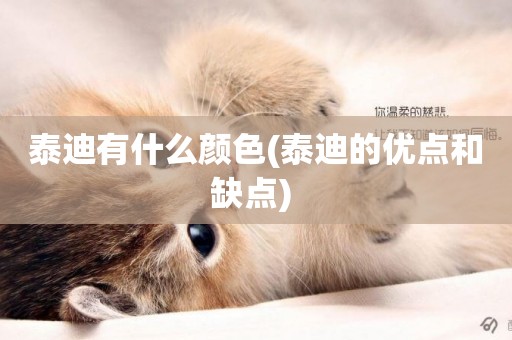泰迪有什么顏色(泰迪的優點和缺點) 