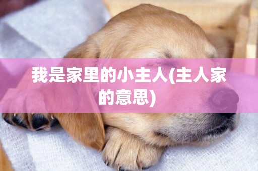 我是家里的小主人(主人家的意思) 