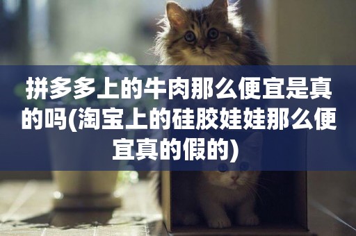 拼多多上的牛肉那么便宜是真的嗎(淘寶上的硅膠娃娃那么便宜真的假的) 