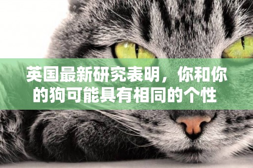 英國最新研究表明，你和你的狗可能具有相同的個性 