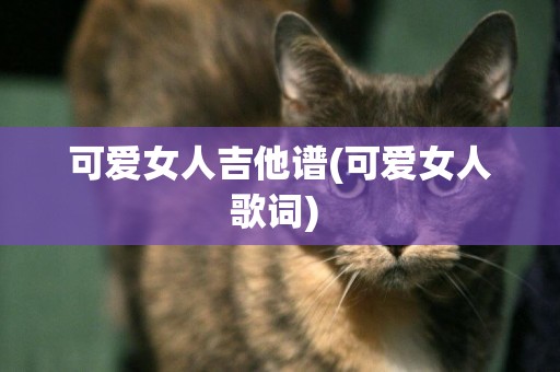 可愛女人吉他譜(可愛女人歌詞) 