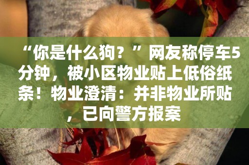 “你是什么狗？”網友稱停車5分鐘，被小區物業貼上低俗紙條！物業澄清：并非物業所貼，已向警方報案 