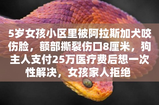 5歲女孩小區里被阿拉斯加犬咬傷臉，額部撕裂傷口8厘米，狗主人支付25萬醫療費后想一次性解決，女孩家人拒絕 
