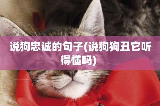 說狗忠誠的句子(說狗狗丑它聽得懂嗎) 