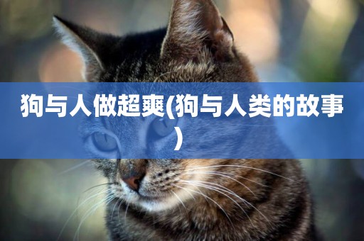 狗與人做超爽(狗與人類的故事) 