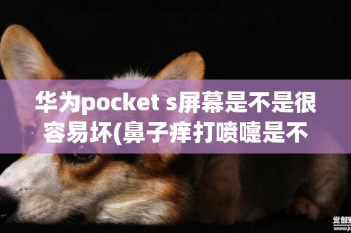 華為pocket s屏幕是不是很容易壞(鼻子癢打噴嚏是不是新冠肺炎) 