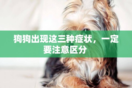 狗狗出現這三種癥狀，一定要注意區分 