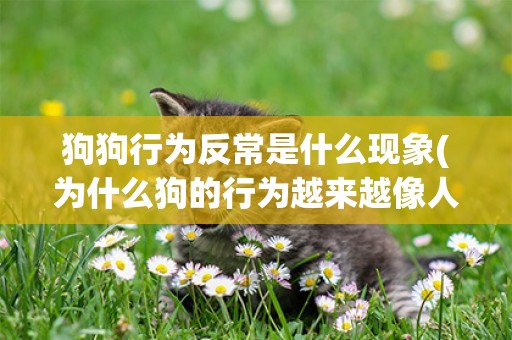 狗狗行為反常是什么現象(為什么狗的行為越來越像人) 