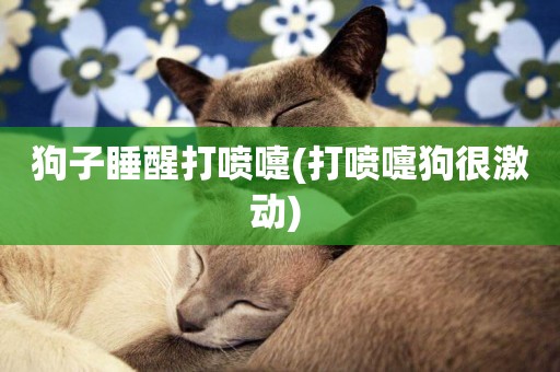 狗子睡醒打噴嚏(打噴嚏狗很激動) 