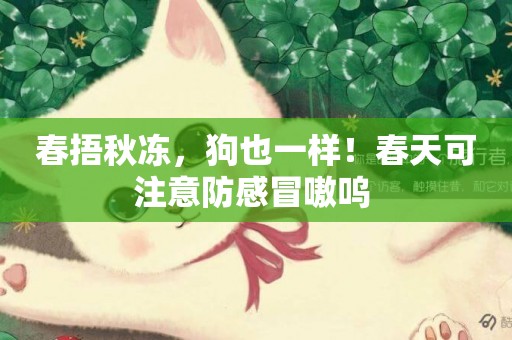 春捂秋凍，狗也一樣！春天可注意防感冒嗷嗚 