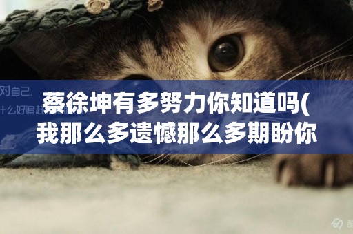 蔡徐坤有多努力你知道嗎(我那么多遺憾那么多期盼你知道嗎) 