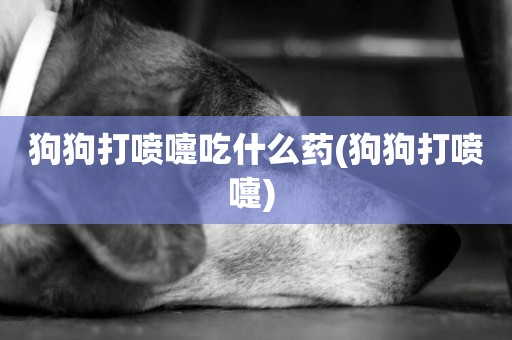 狗狗打噴嚏吃什么藥(狗狗打噴嚏) 