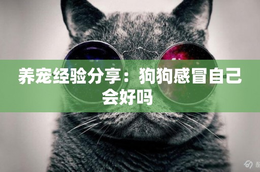 養寵經驗分享：狗狗感冒自己會好嗎 