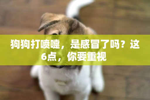 狗狗打噴嚏，是感冒了嗎？這6點，你要重視 