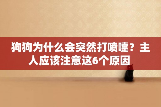 狗狗為什么會突然打噴嚏？主人應該注意這6個原因 