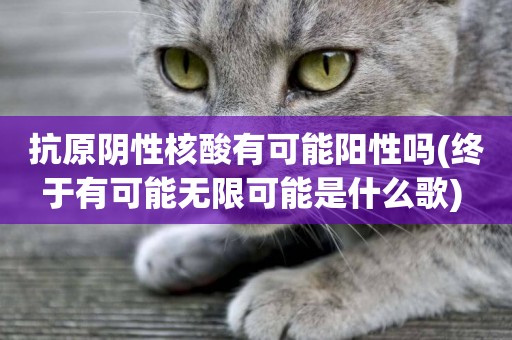 抗原陰性核酸有可能陽性嗎(終于有可能無限可能是什么歌) 