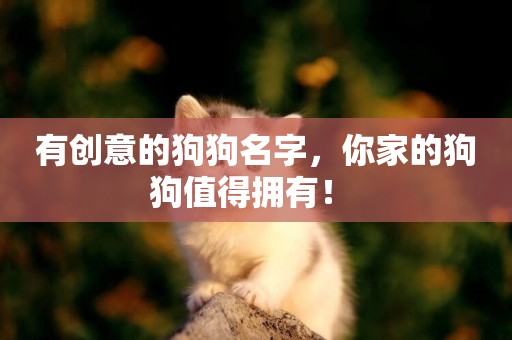 有創意的狗狗名字，你家的狗狗值得擁有！ 