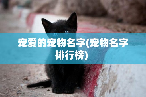 寵愛的寵物名字(寵物名字排行榜) 