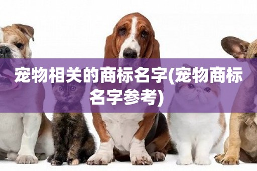 寵物相關的商標名字(寵物商標名字參考) 