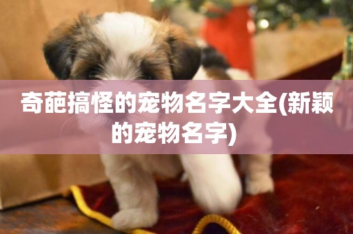 奇葩搞怪的寵物名字大全(新穎的寵物名字) 