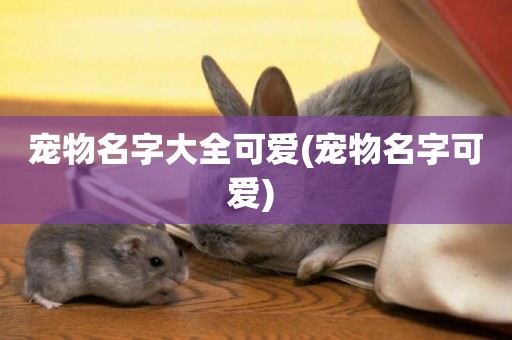 寵物名字大全可愛(寵物名字可愛) 