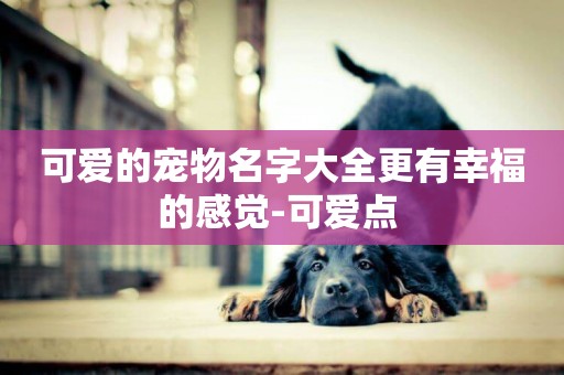 可愛的寵物名字大全更有幸福的感覺-可愛點 