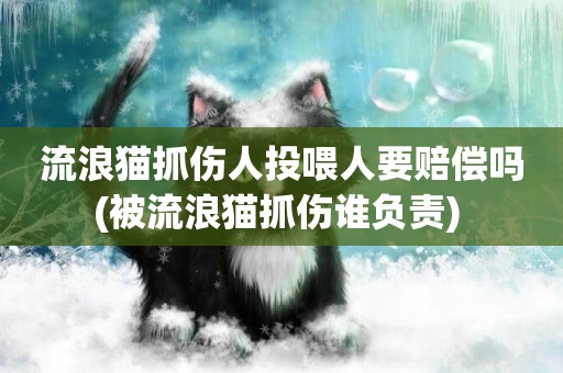 流浪貓抓傷人投喂人要賠償嗎(被流浪貓抓傷誰負責) 