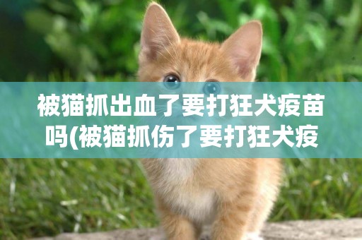 被貓抓出血了要打狂犬疫苗嗎(被貓抓傷了要打狂犬疫苗嗎) 