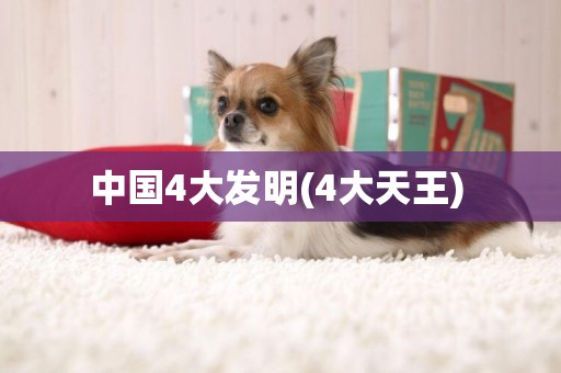 中國4大發明(4大天王) 