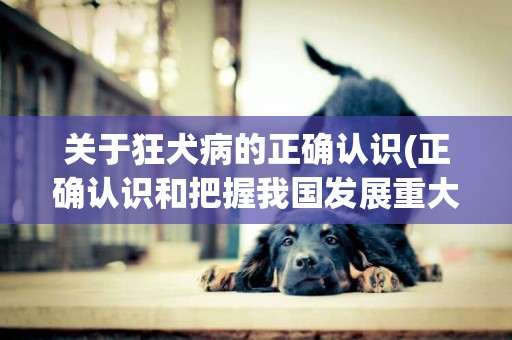 關于狂犬病的正確認識(正確認識和把握我國發展重大理論和實踐問題) 