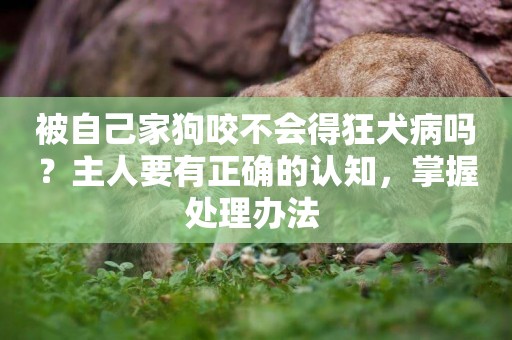 被自己家狗咬不會得狂犬病嗎？主人要有正確的認知，掌握處理辦法 