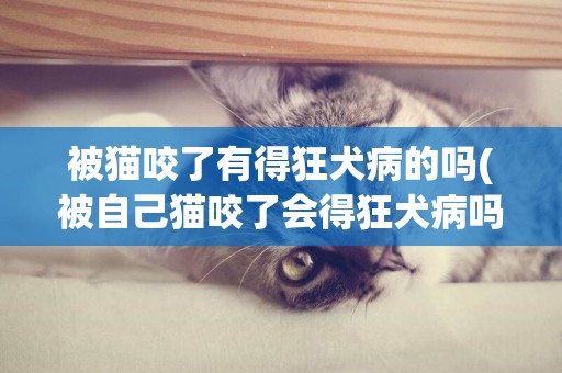 被貓咬了有得狂犬病的嗎(被自己貓咬了會得狂犬病嗎) 