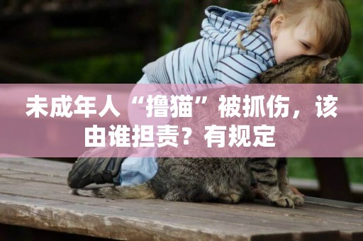 未成年人“擼貓”被抓傷，該由誰擔責？有規定 