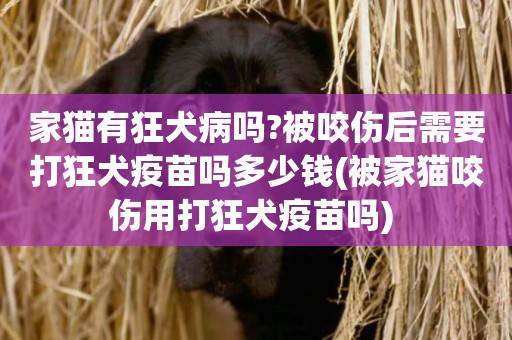 家貓有狂犬病嗎?被咬傷后需要打狂犬疫苗嗎多少錢(被家貓咬傷用打狂犬疫苗嗎) 