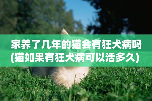 家養了幾年的貓會有狂犬病嗎(貓如果有狂犬病可以活多久) 