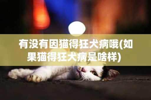 有沒有因貓得狂犬病哦(如果貓得狂犬病是啥樣) 