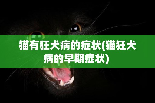 貓有狂犬病的癥狀(貓狂犬病的早期癥狀) 