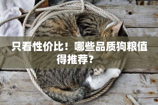 只看性價比！哪些品質狗糧值得推薦？ 