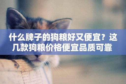 什么牌子的狗糧好又便宜？這幾款狗糧價格便宜品質可靠 